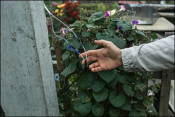 25 сентября 2019 г., Барнаул Вор остается вором. Как барнаульские энергетики отрезают от сетей должников