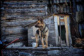 12.04.2019   Как барнаульская горэлектросеть борется с должниками