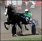 20 августа 2006 г., Барнаул   Международная встреча наездников Россия - Финляндия