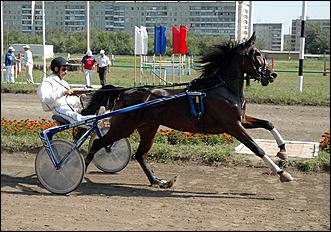 20 августа 2006 г., Барнаул   Международная встреча наездников Россия - Финляндия