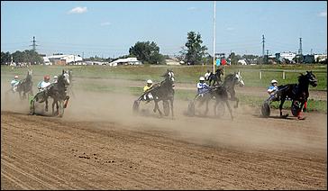 20 августа 2006 г., Барнаул   Международная встреча наездников Россия - Финляндия