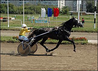 20 августа 2006 г., Барнаул   Международная встреча наездников Россия - Финляндия