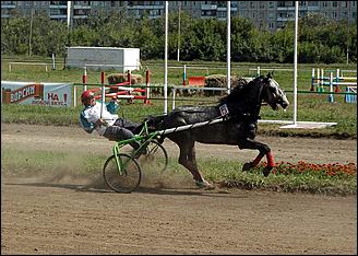 20 августа 2006 г., Барнаул   Международная встреча наездников Россия - Финляндия