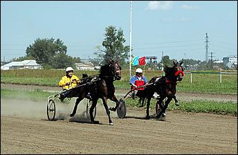 20 августа 2006 г., Барнаул   Международная встреча наездников Россия - Финляндия