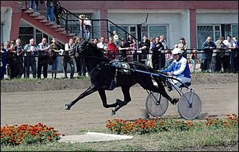 20 августа 2006 г., Барнаул   Международная встреча наездников Россия - Финляндия