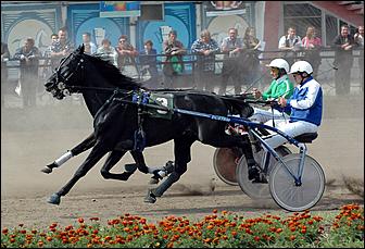 20 августа 2006 г., Барнаул   Международная встреча наездников Россия - Финляндия