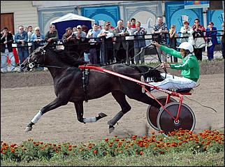 20 августа 2006 г., Барнаул   Международная встреча наездников Россия - Финляндия