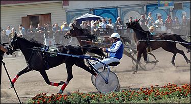 20 августа 2006 г., Барнаул   Международная встреча наездников Россия - Финляндия