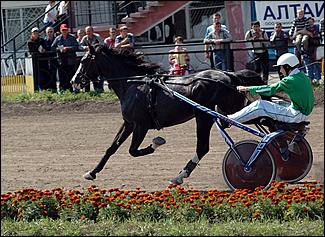 20 августа 2006 г., Барнаул   Международная встреча наездников Россия - Финляндия