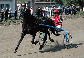 20 августа 2006 г., Барнаул   Международная встреча наездников Россия - Финляндия