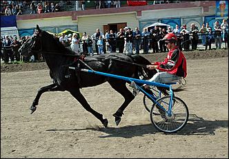 20 августа 2006 г., Барнаул   Международная встреча наездников Россия - Финляндия