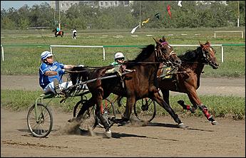 20 августа 2006 г., Барнаул   Международная встреча наездников Россия - Финляндия