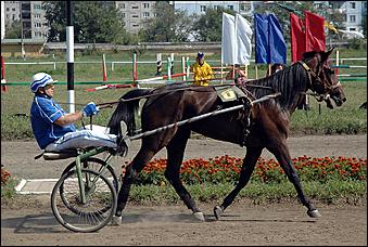 20 августа 2006 г., Барнаул   Международная встреча наездников Россия - Финляндия