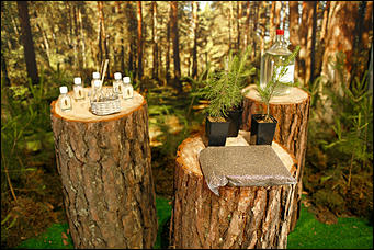 EventCorpLife организовали открытие высокотехнологичного комбината, входящего в холдинг «Алтайлес»