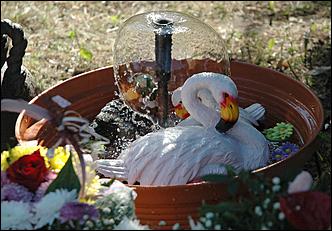 2 сентября 2006 г., Барнаул   День города: выставка цветов