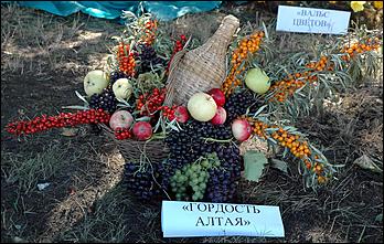 2 сентября 2006 г., Барнаул   День города: выставка цветов