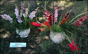 2 сентября 2006 г., Барнаул   День города: выставка цветов