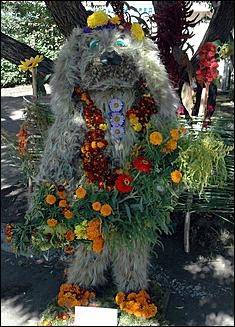 2 сентября 2006 г., Барнаул   День города: выставка цветов