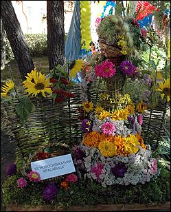 2 сентября 2006 г., Барнаул   День города: выставка цветов