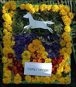 2 сентября 2006 г., Барнаул   День города: выставка цветов