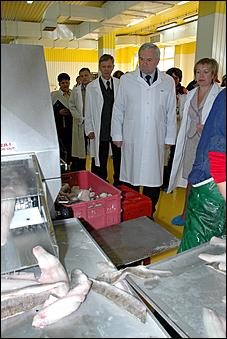 19 сентября 2006 г., Барнаул   Как перерабатывают рыбу на барнаульском предприятии "Диаф"?