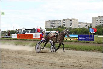 18 - 19 августа 2012 г., Барнаул   Автоцентр АНТ - официальный дилер Hyundai посетил конные бега на "Кубке губернатора 2012"
