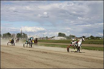 18 - 19 августа 2012 г., Барнаул   Автоцентр АНТ - официальный дилер Hyundai посетил конные бега на "Кубке губернатора 2012"
