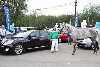 18 - 19 августа 2012 г., Барнаул   Автоцентр АНТ - официальный дилер Hyundai посетил конные бега на "Кубке губернатора 2012"
