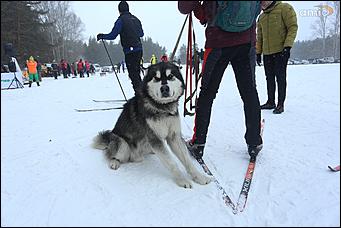 3 марта 2018 г., Барнаул. Екатерина Смолихина От Черемного до Барнаула: как в крае прошёл 50-километровый лыжный марафон