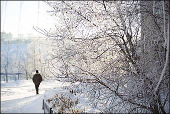 27.12.2016 Барнаул © Амител Вячеслав Мельников   Белый иней: природа украшает Барнаул к Новому году