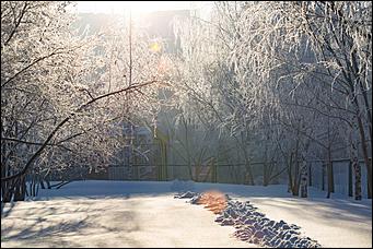 27.12.2016 Барнаул © Амител Вячеслав Мельников   Белый иней: природа украшает Барнаул к Новому году