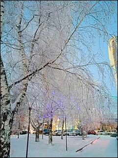 27.12.2016 Барнаул © Амител Вячеслав Мельников   Белый иней: природа украшает Барнаул к Новому году