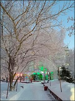 27.12.2016 Барнаул © Амител Вячеслав Мельников   Белый иней: природа украшает Барнаул к Новому году