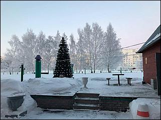 27.12.2016 Барнаул © Амител Вячеслав Мельников   Белый иней: природа украшает Барнаул к Новому году