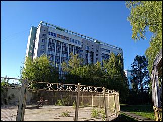 28.06.2017. Барнаул. Фото: Александра Черданцева   Было и прошло: как сегодня выглядит барнаульский парк "Изумрудный"