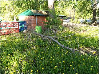 28.06.2017. Барнаул. Фото: Александра Черданцева   Было и прошло: как сегодня выглядит барнаульский парк "Изумрудный"
