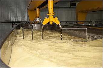 13 июля 2017 с.,Куяган Алтайского района   Рождение "Советского Сыра": фоторепортаж с Куяганского маслосырзавода