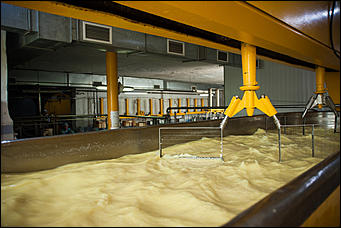 13 июля 2017 с.,Куяган Алтайского района   Рождение "Советского Сыра": фоторепортаж с Куяганского маслосырзавода