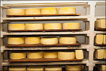 13 июля 2017 с.,Куяган Алтайского района   Рождение "Советского Сыра": фоторепортаж с Куяганского маслосырзавода