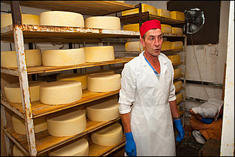 13 июля 2017 с.,Куяган Алтайского района   Рождение "Советского Сыра": фоторепортаж с Куяганского маслосырзавода