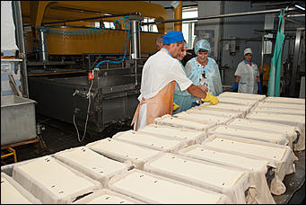 13 июля 2017 с.,Куяган Алтайского района   Рождение "Советского Сыра": фоторепортаж с Куяганского маслосырзавода