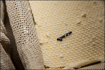 13 июля 2017 с.,Куяган Алтайского района   Рождение "Советского Сыра": фоторепортаж с Куяганского маслосырзавода