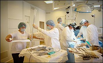 19 сентябрь 2019 г.   Сердце, бейся. Фоторепортаж с уникальной кардиологической операции в Алтайском крае