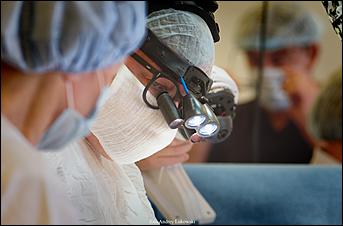 19 сентябрь 2019 г.   Сердце, бейся. Фоторепортаж с уникальной кардиологической операции в Алтайском крае