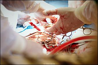 19 сентябрь 2019 г.   Сердце, бейся. Фоторепортаж с уникальной кардиологической операции в Алтайском крае