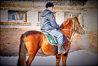20 январь 2016 г., Барнаул © Амител. Мария Трубина Барнаульская конная полиция в действии