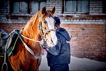 20 январь 2016 г., Барнаул © Амител. Мария Трубина Барнаульская конная полиция в действии