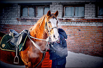 20 январь 2016 г., Барнаул © Амител. Мария Трубина Барнаульская конная полиция в действии
