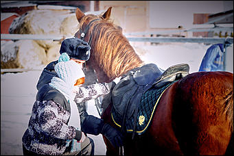 20 январь 2016 г., Барнаул © Амител. Мария Трубина Барнаульская конная полиция в действии