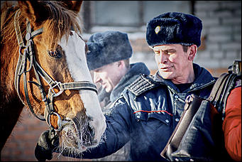 20 январь 2016 г., Барнаул © Амител. Мария Трубина Барнаульская конная полиция в действии